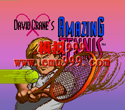  () - David Cranes Amazing Tennis (Nintendo)