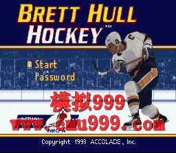  () - Brett Hull Hockey (US)