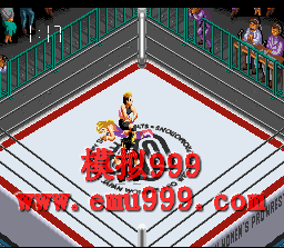 Ůˤ () - Fire Pro Jyoshi All Star Dream Slam (J)