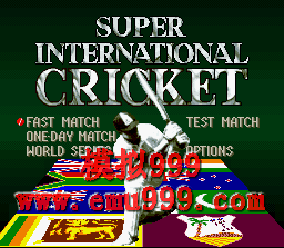 ʰ (ŷ) - SUPER INTERNATIONAL CRICKET (E)