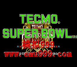 TECMO () - Tecmo Super Bowl (US)