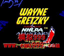 ͱ () - Wayne Gretzky Hockey (US)