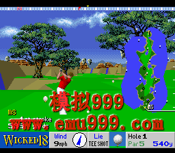 18߶ () - Wicked 18 Golf (US)