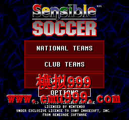 о (ŷ) - SENSIBLE SOCCER (E)