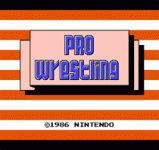 Ѫˤ - Pro Wrestling (U)