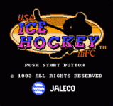 Ǳ (հ) - USA Ice Hockey in FC (J)