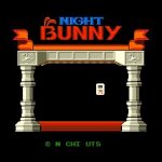 ҹŮ - Night Bunny